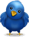 Follow Pat